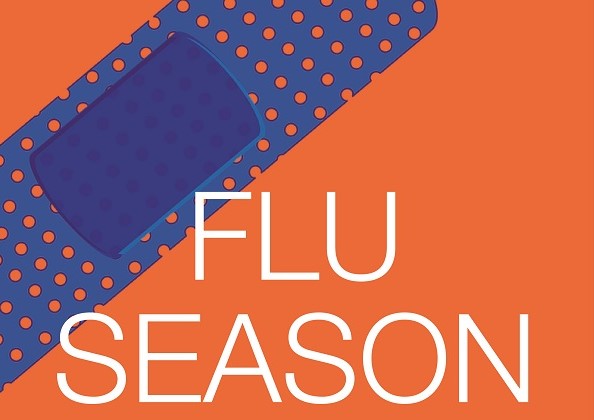 Flu Season Graphic SM